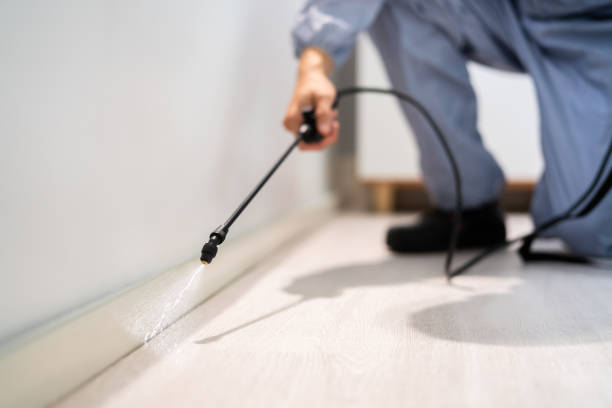 Certified termite inspector examining foundation in South River